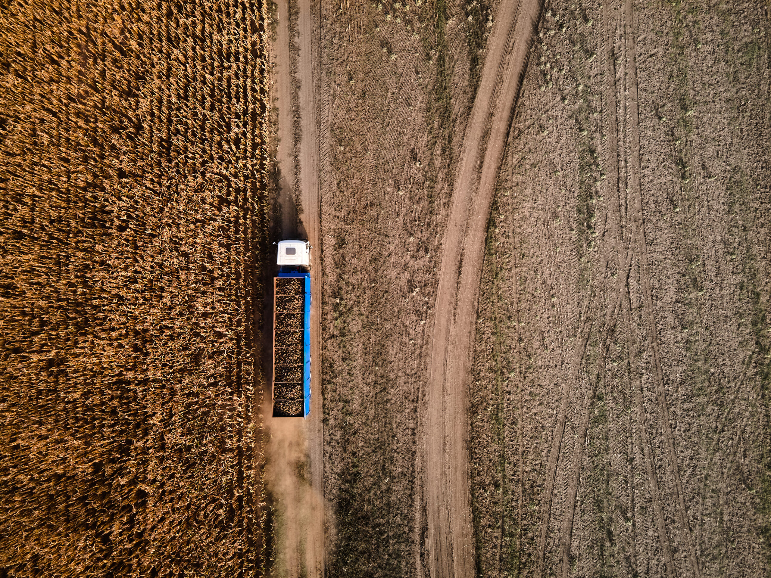 Logística rural no Brasil com estrada rural precária impactando o transporte de alimentos e o preço da carne