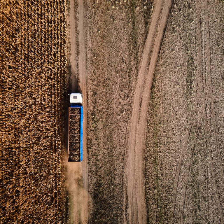 Logística rural no Brasil com estrada rural precária impactando o transporte de alimentos e o preço da carne